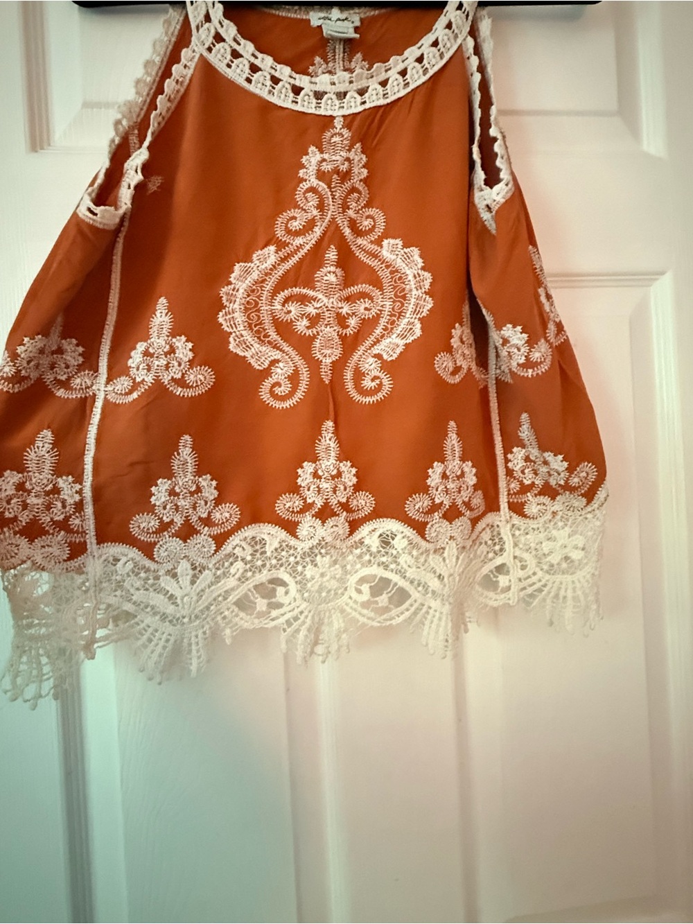 Ultra Pink Rust Camisole with White Lace Embroidery - Picture 3 of 4